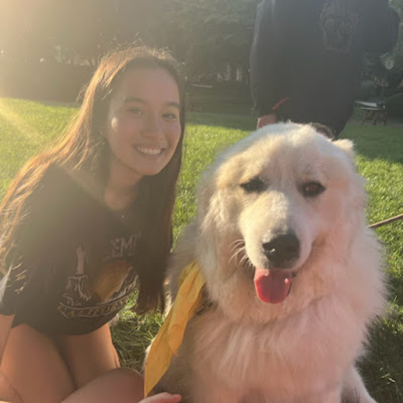 Meet your Posher, Chloe - Picture 1 of 1